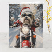 Malti Tzu Dog Riding Motorrad Weihnachten Karte (Gelbe Blume)
