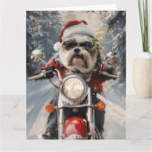 Malti Tzu Dog Riding Motorrad Weihnachten Karte (Vorderseite)