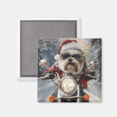 Malti Tzu Dog Riding Motorrad Weihnachten Magnet (Vorderseite/Rückseite)