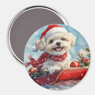 Malti Tzu Hund im Schlitten Lass es schneien Weih Magnet