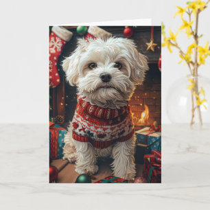 Malti Tzu Hund mit Weihnachtsgeschenken Kamin  Karte