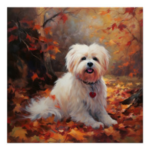 Malti Tzu im Herbst Leaves Fall Inspiriert Poster