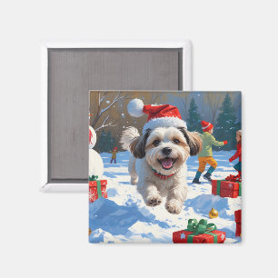 Malti Tzu läuft im Schnee mit Weihnachtsmütze Magnet