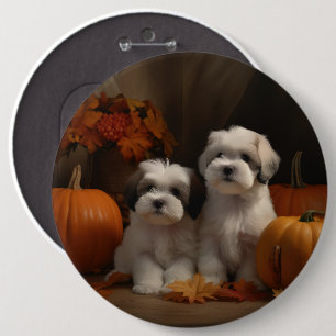 Malti Tzu Welpe Herbstvergnügen Kürbis Button
