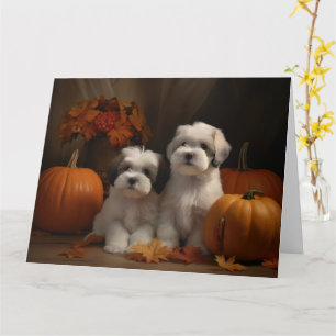 Malti tzu Welppy Autumn Delight Pumpkin Karte