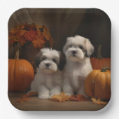 Malti tzu Welppy Autumn Delight Pumpkin Pappteller (Vorderseite)