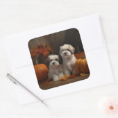 Malti tzu Welppy Autumn Delight Pumpkin Quadratischer Aufkleber (Umschlag)
