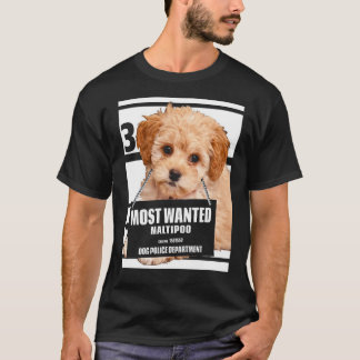 Maltipoo am meisten Gewollt - Maltesisches Miniatu T-Shirt