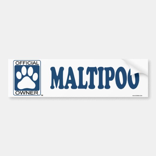 Maltipoo Blau Autoaufkleber (Vorne)