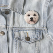 Maltipoo Button (Beispiel)