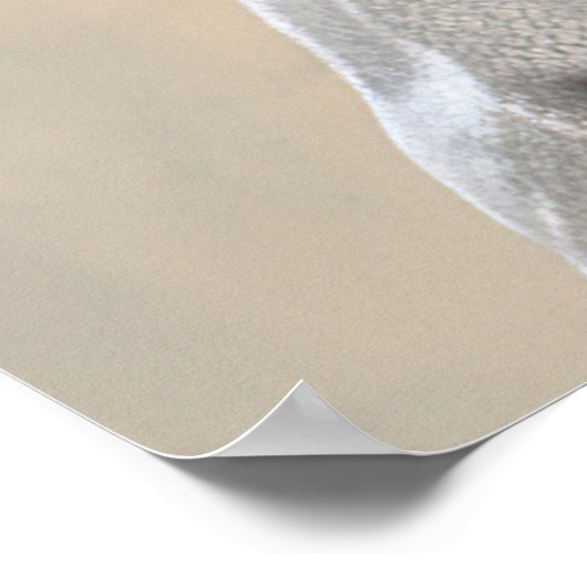 Maltipoo Hipster Dog Poster (Ecke)