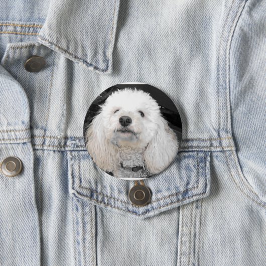 MaltiPoo Hundeknöpfe Button (Beispiel)