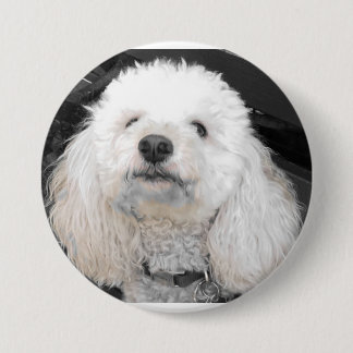 MaltiPoo Hundeknöpfe Button