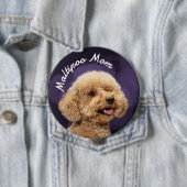 Maltipoo-Mama mit lila Hintergrund Button (Beispiel)