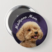 Maltipoo-Mama mit lila Hintergrund Button (Vorne & Hinten)