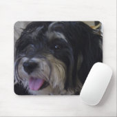 maltipoo mousepad (Mit Mouse)