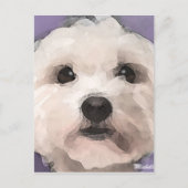 Maltipoo Postkarte (Vorderseite)