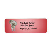 Maltipoo Puppy auf rosa (Vorne)