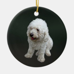 Maltipoo Puppy Keramik Ornament