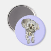 Maltipoo Puppy Magnet (Vorderseite/Rückseite)