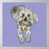 Maltipoo Puppy Poster (Vorne)