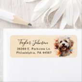 Maltipoo-Rücksendeadresse (Insitu)