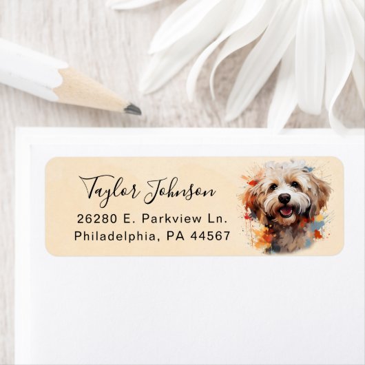 Maltipoo-Rücksendeadresse (Insitu)