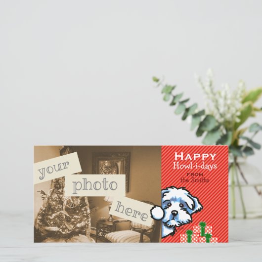 Maltipoo Shihpoo Cockapoo Peking Weihnachten (Stehend Vorderseite)