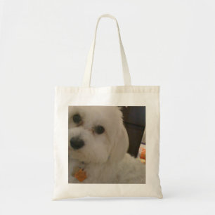 Maltipoo Tasche