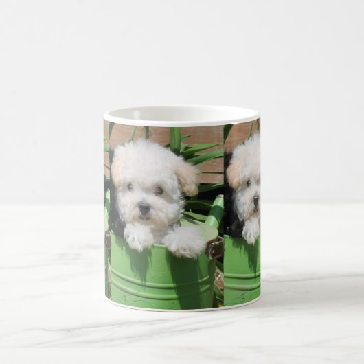 Maltipoo Welpen-Kaffee-Tasse Kaffeetasse (Mittel)