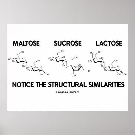 Maltose Saccharose Lactose Strukturähnliche Eigens Poster (Vorne)