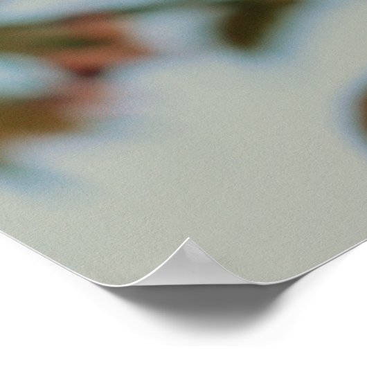 Malus Brandywine Crabapple Tree Spring Pink Bloom Poster (Ecke)