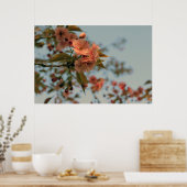 Malus Brandywine Crabapple Tree Spring Pink Bloom Poster (Küche)