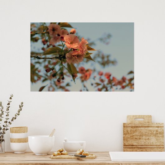 Malus Brandywine Crabapple Tree Spring Pink Bloom Poster (Küche)