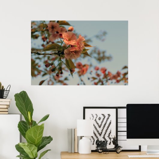 Malus Brandywine Crabapple Tree Spring Pink Bloom Poster (Heimbüro)