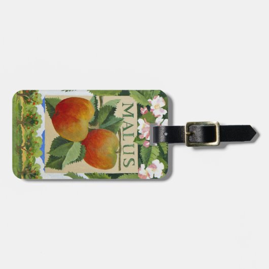 Malus Gepäckanhänger (Vorderseite horizontal)