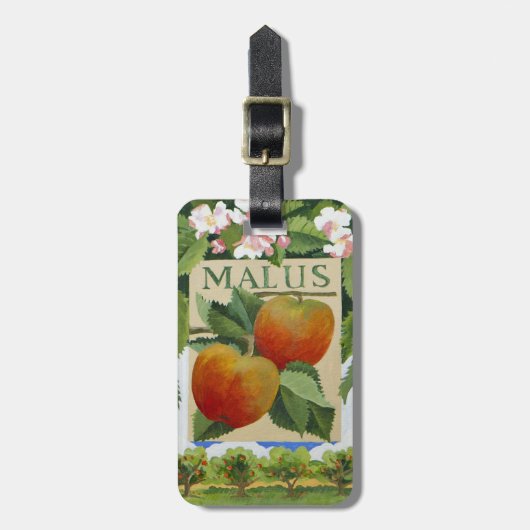 Malus Gepäckanhänger (Vorderseite vertikal)