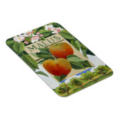 Malus Magnet (Rechte Seite)