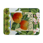 Malus Magnet (Horizontal)