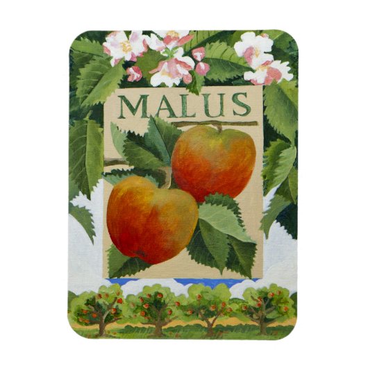 Malus Magnet (Vertikal)