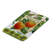 Malus Magnet (Linke Seite)