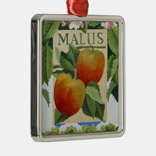 Malus Ornament Aus Metall (Rechts)