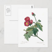 Malva purpurea postkarte (Vorne/Hinten)