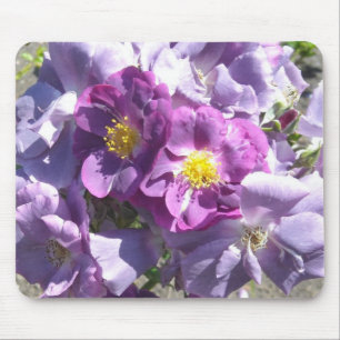 Malvenfarbene Rosen Mousepad