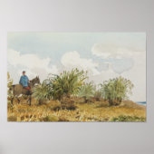 malvinas poster (Vorne)