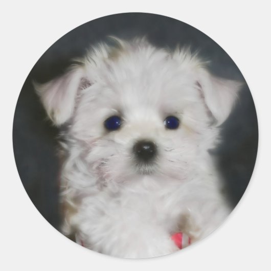 Malzaufkleber Runder Aufkleber (Vorderseite)