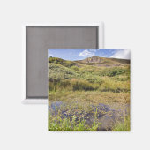 Mam Tor im Souvenir-Foto des Peak District Magnet (Vorderseite/Rückseite)