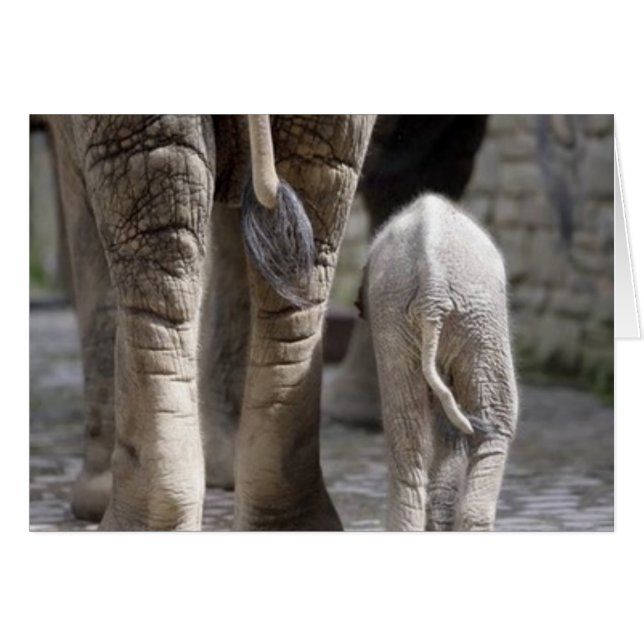 Mama & Baby (Vorderseite (Horizontal))