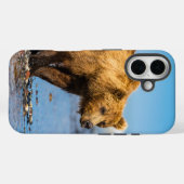 Mama Bären beobachtet ihre beiden Kinder Case-Mate iPhone Hülle (Rückseite (Horizontal))