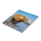 Mama Bären beobachtet ihre beiden Kinder Fliese (Seite)